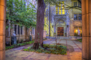 Honorable Mention-J. Doug Avery Lighted Peace-digital