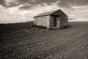 First Place-Steve Immel-Vielle Ferme-photography