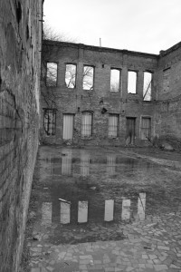 Amanda Madrid_Entropy Mirrored_ -Photography