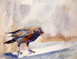 Kay Smith_Plenty to Crow About-watercolor