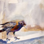 Kay Smith_Plenty to Crow About-watercolor