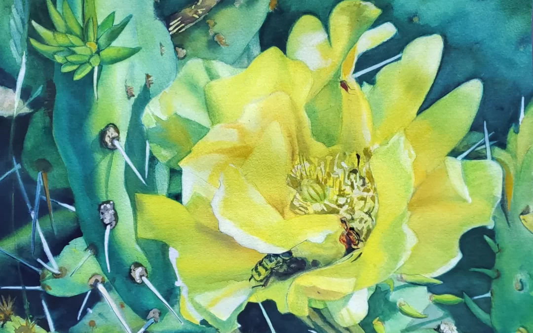 Mary Lambeth