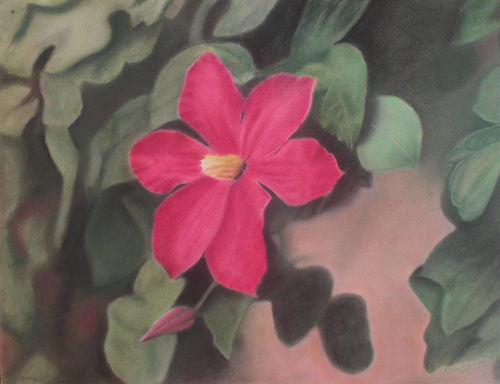 All In Pink 2004 by Diane Browne